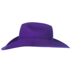 Rodeo King 7X Purple Self Band 4 1/4in. Brim Open Crown Felt Cowboy Hat -Denim Equipment Store RK457 5